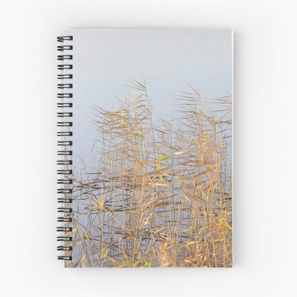 Item preview, Thickets of autumn reeds on a background of gray water designed and sold by EG Creativity Art.