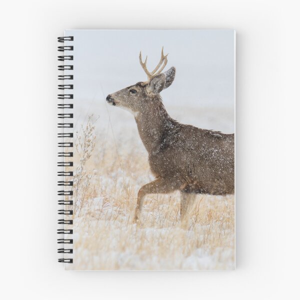 Item preview, Walking in the snow designed and sold by Greg Birkett.