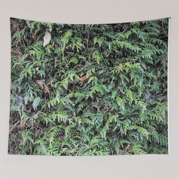 Item preview, Hedge designed and sold by Dpe1974.