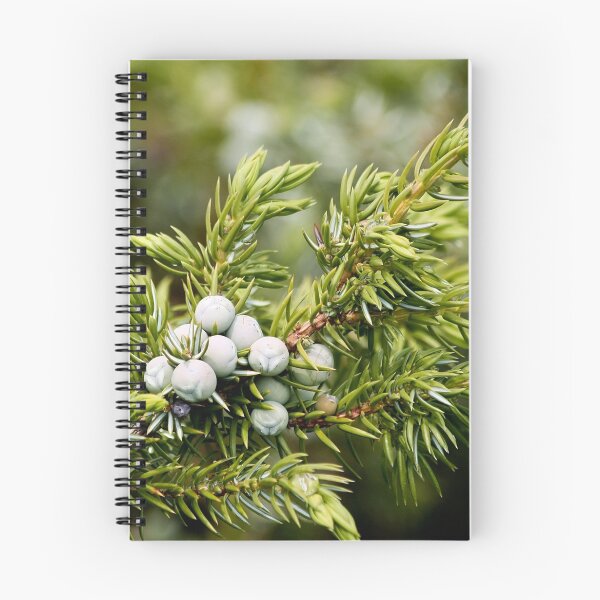 Item preview, Juniper Berries designed and sold by Teresa Zieba.