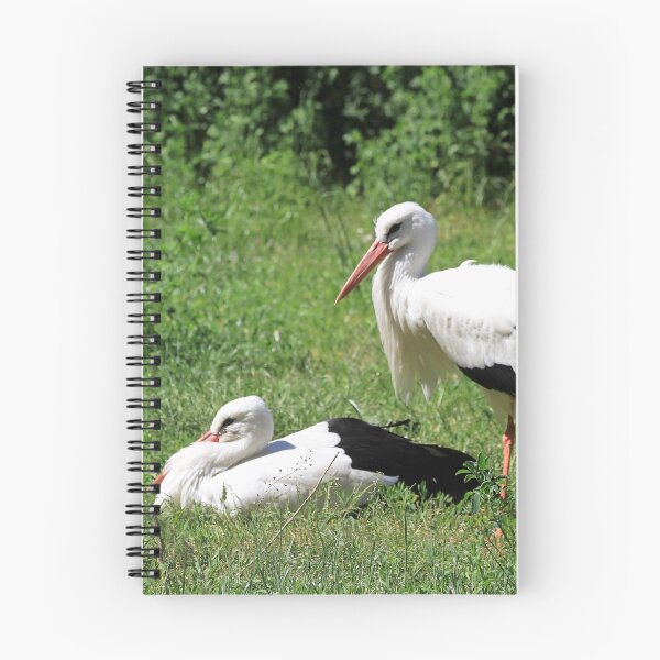 Item preview, White storks designed and sold by Teresa Zieba.