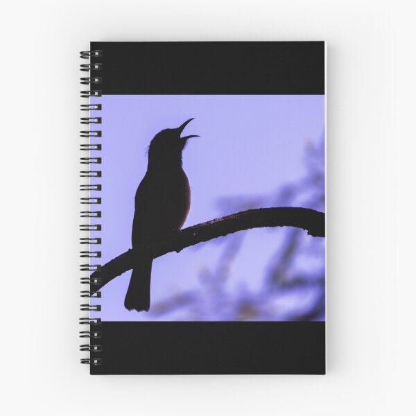 Item preview, Brown Honeyeater Silhouette designed and sold by Teale Britstra.