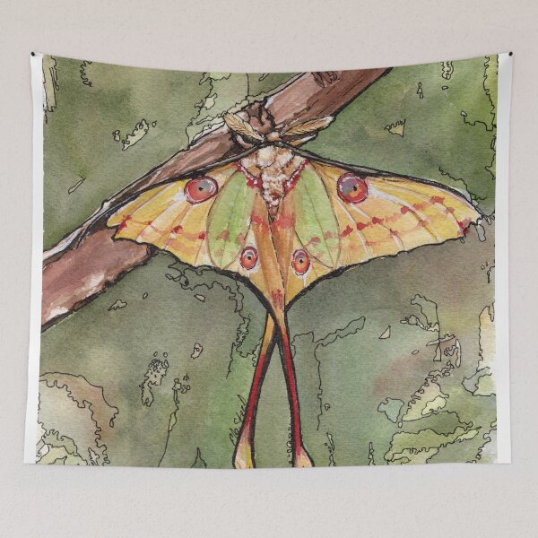 Aperçu de l'œuvre Comet Moth - Aquarelle de la nature d'un papillon jaune créée et vendue par elasteel.