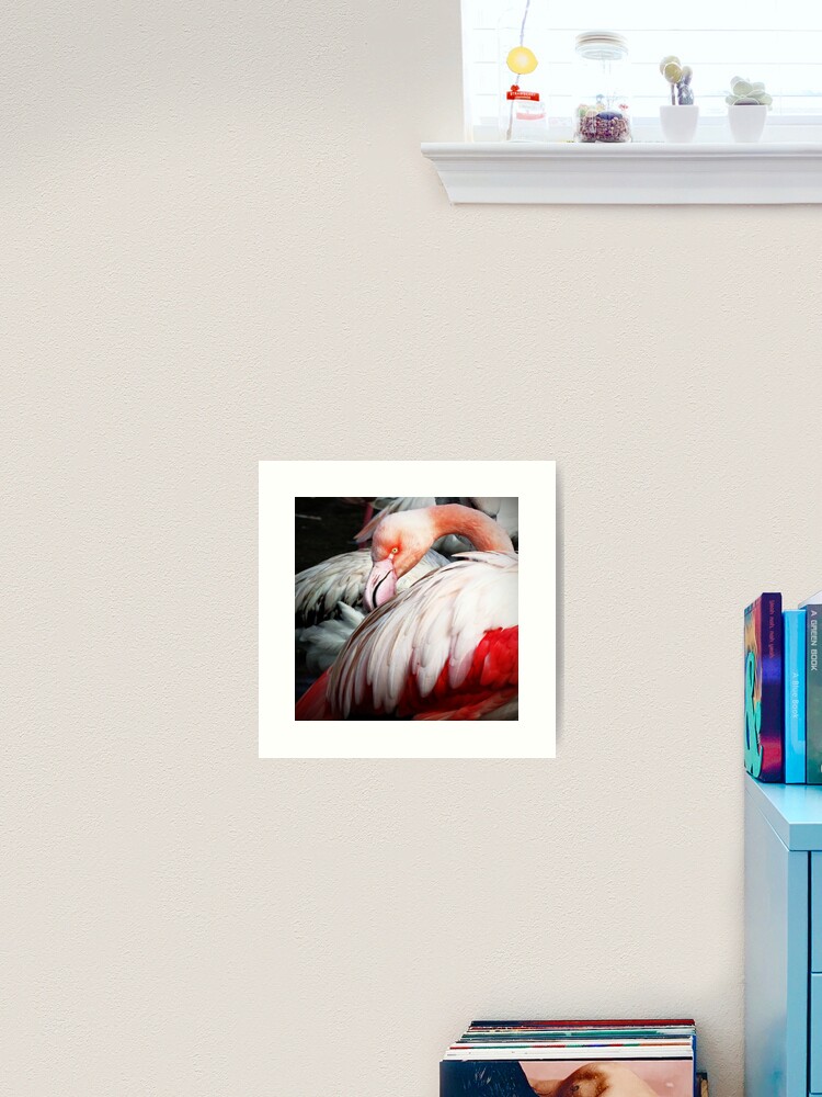 Thumbnail 2 of 3, Art Print, Slimbridge: Flamingo1 designed and sold by Coigach.