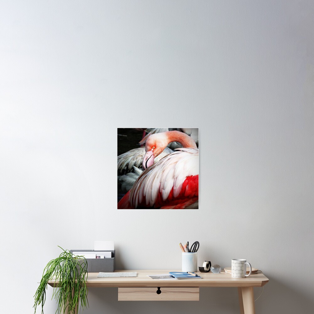 Item preview, Poster designed and sold by Coigach.