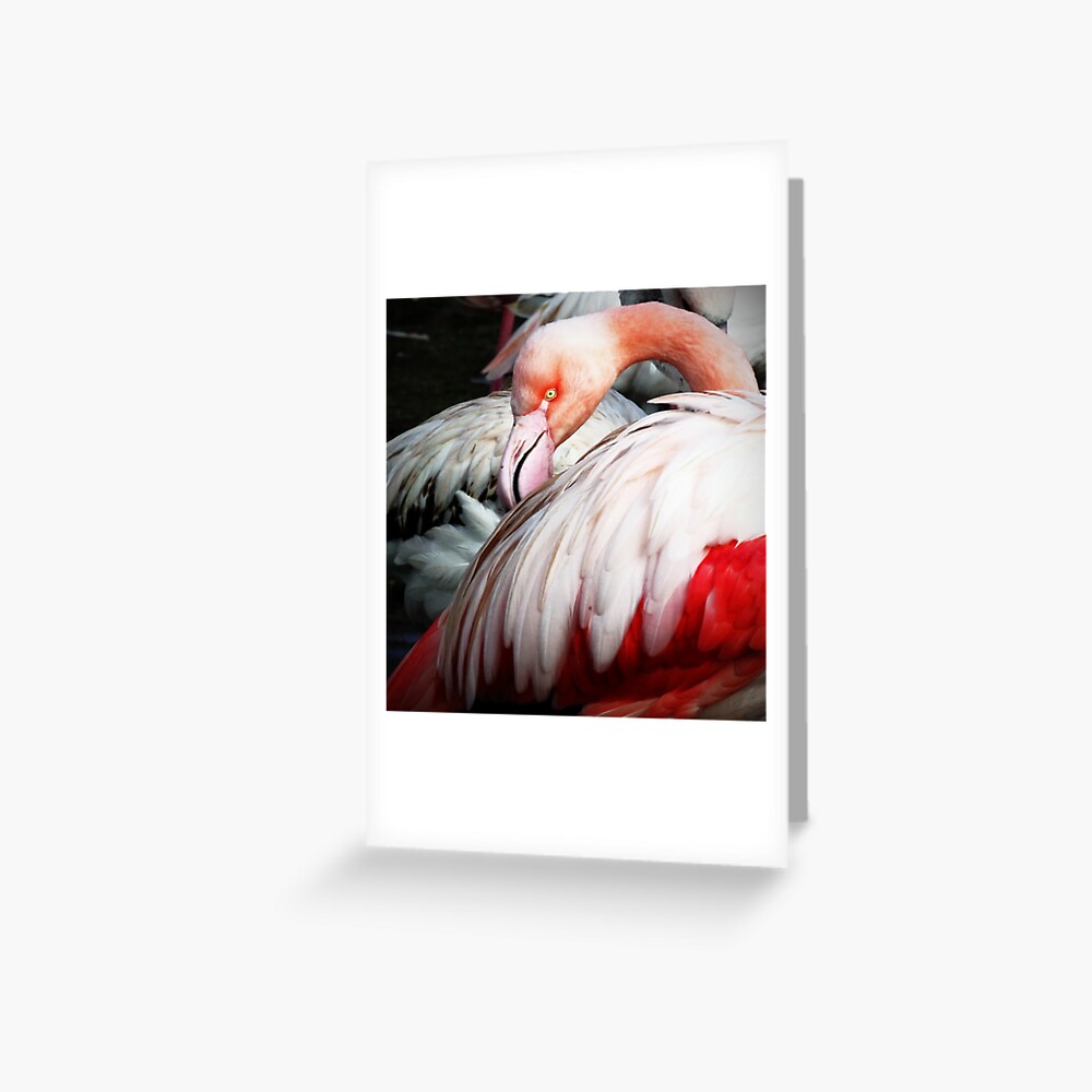 Item preview, Greeting Card designed and sold by Coigach.