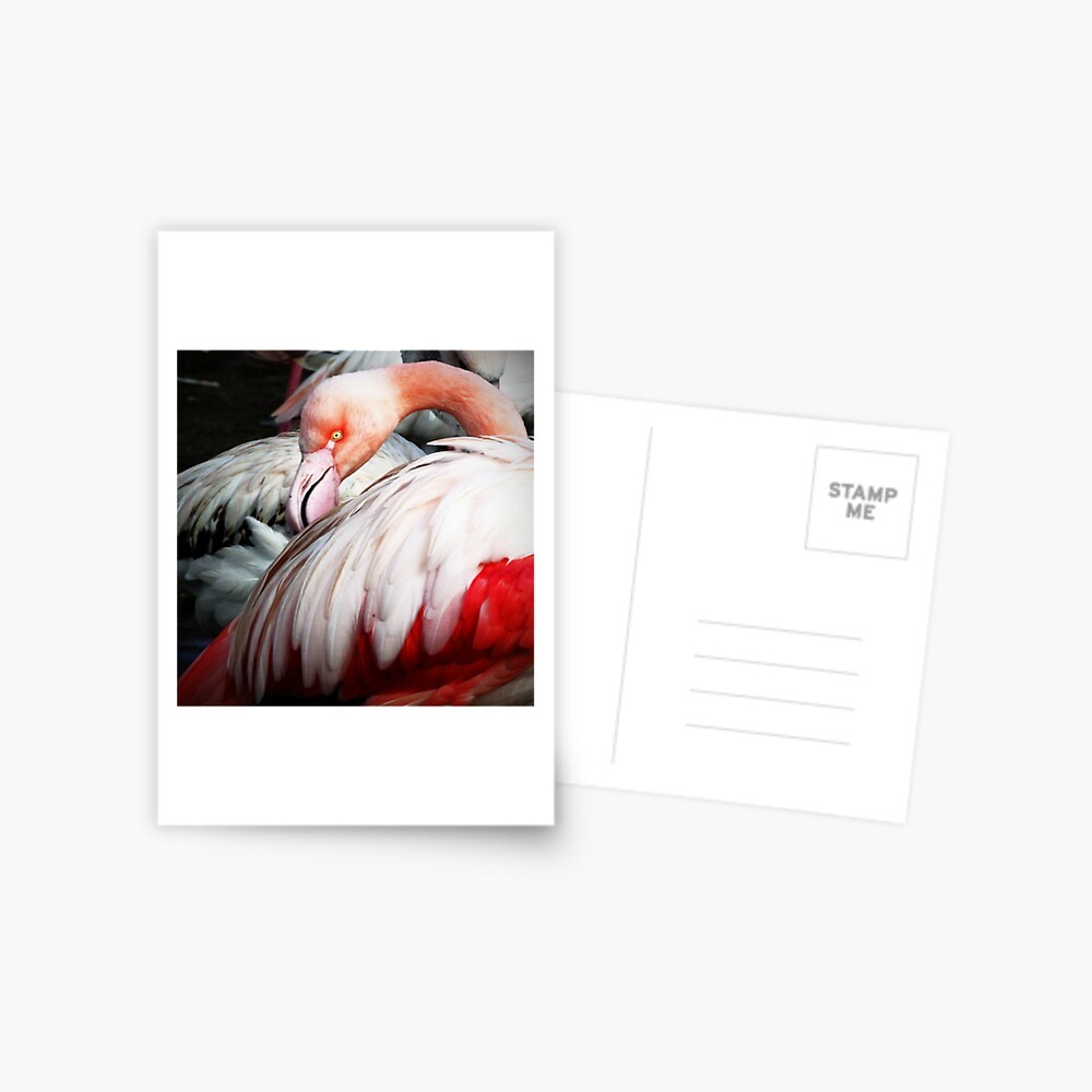 Item preview, Postcard designed and sold by Coigach.