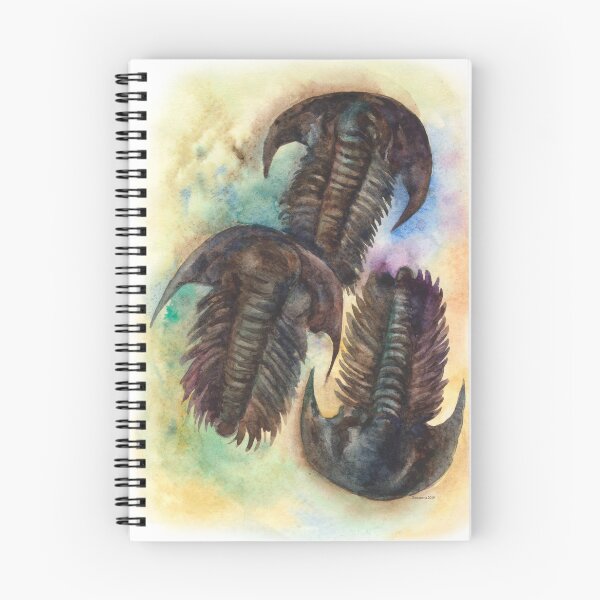 Item preview, Trilobites designed and sold by irishkalia.