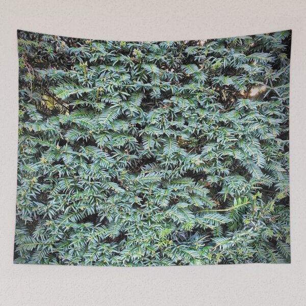 Item preview, Hedge - Taxus designed and sold by Dpe1974.