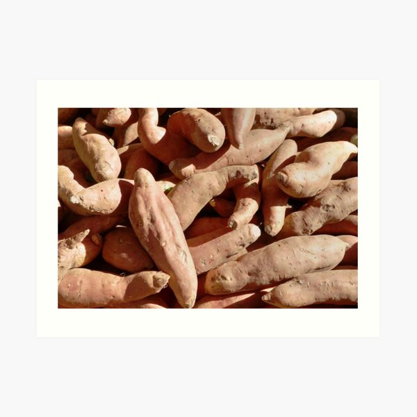 Food - sweet potatoes Art Print