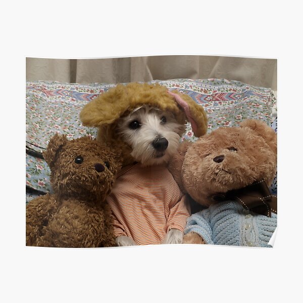 Bella and friends Poster