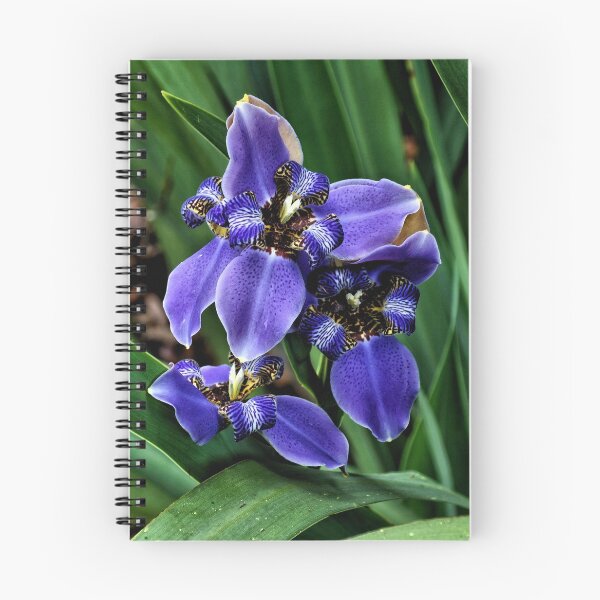 Item preview, African iris 4 - Florida designed and sold by jtrommer.