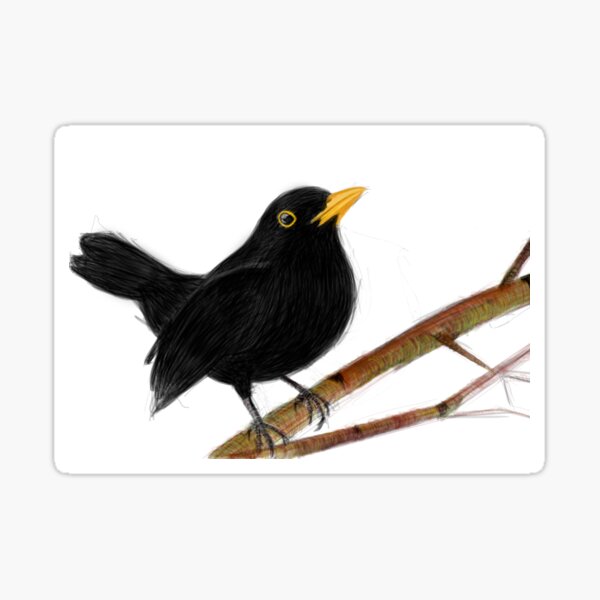 Item preview, blackbird in love designed and sold by mayerarts.
