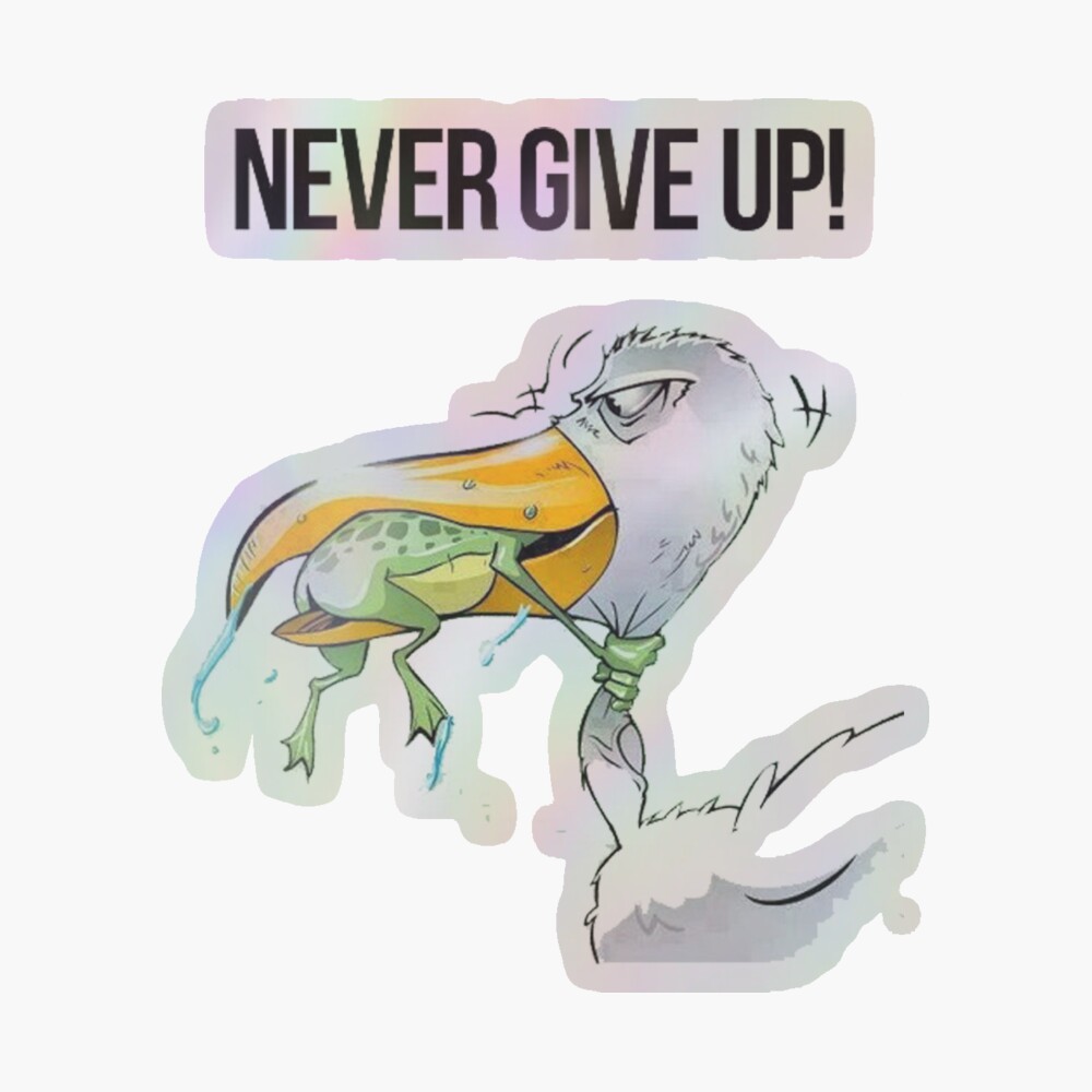 NEVER GIVE UP