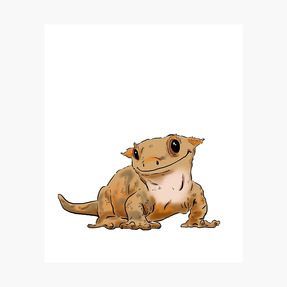 Smiling Crested Gecko, Cute Crested Gecko, Crestie Lover\