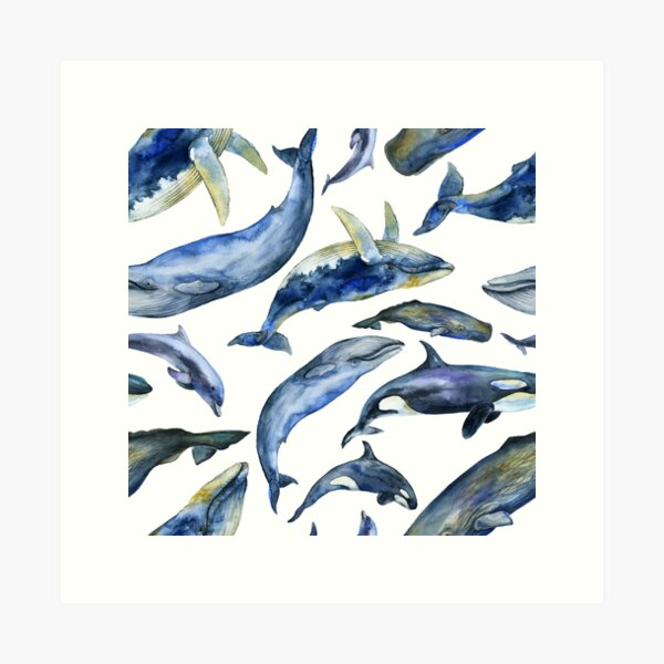 Artikel-Vorschau von Aquarellwale, designt und verkauft von Kate Vigdis.