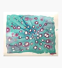 Needle Photographic Print