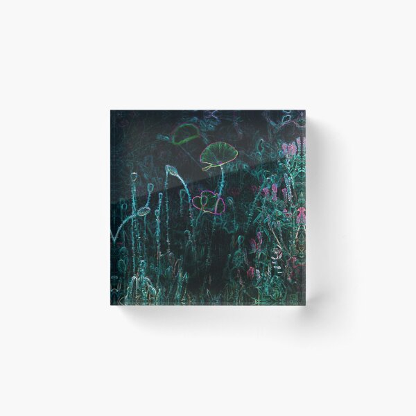 Pandora forest - Spirit of Eywa I Acrylic Block