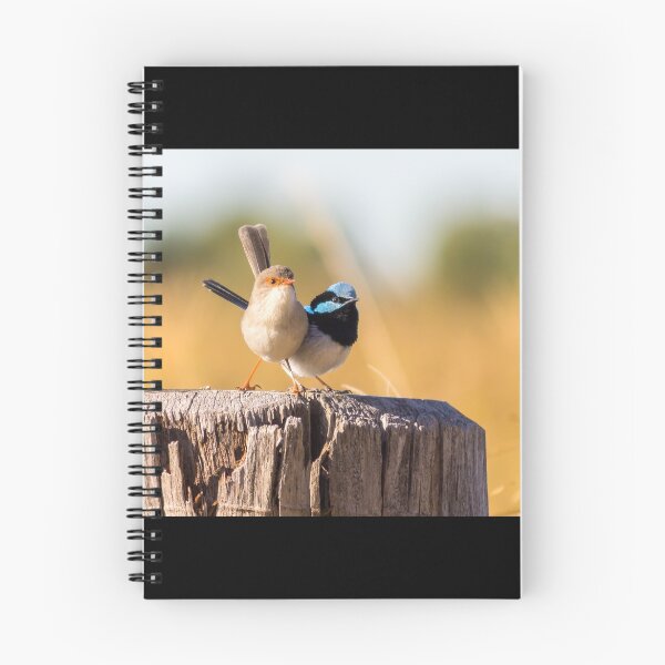 Item preview, Superb Fairy-wrens designed and sold by Teale Britstra.