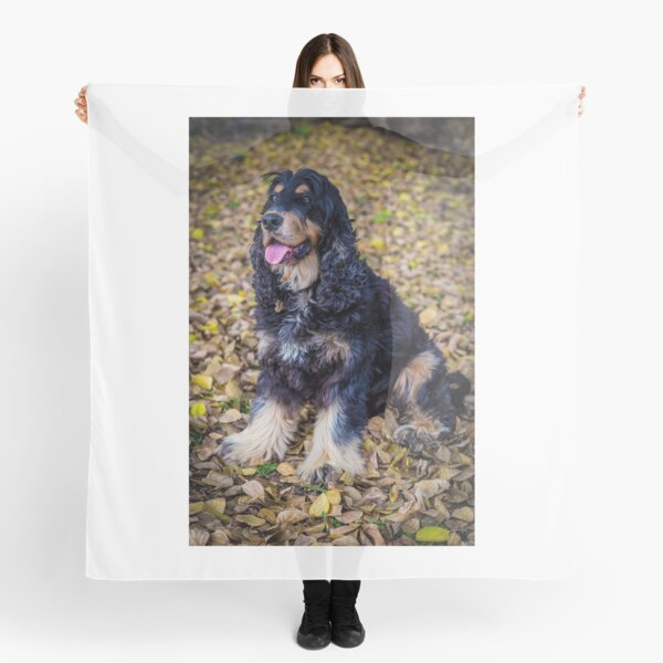 Fred Scarf