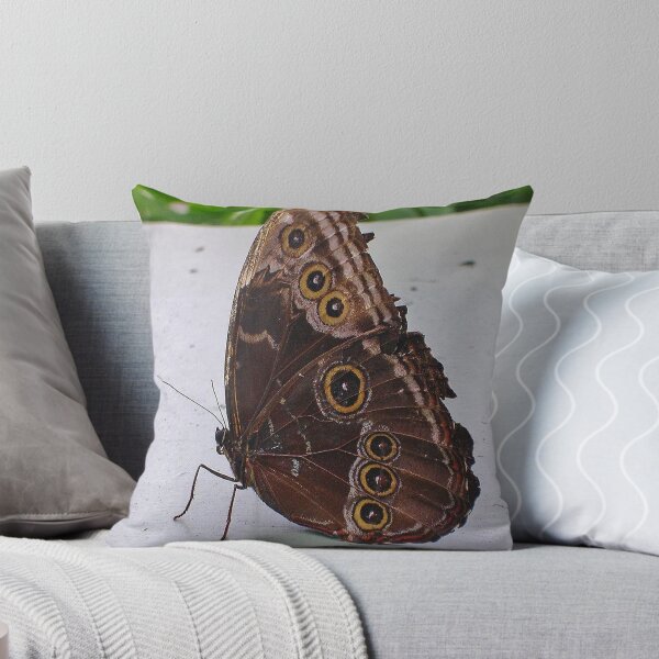 Item preview, Folded Wings designed and sold by lezvee.