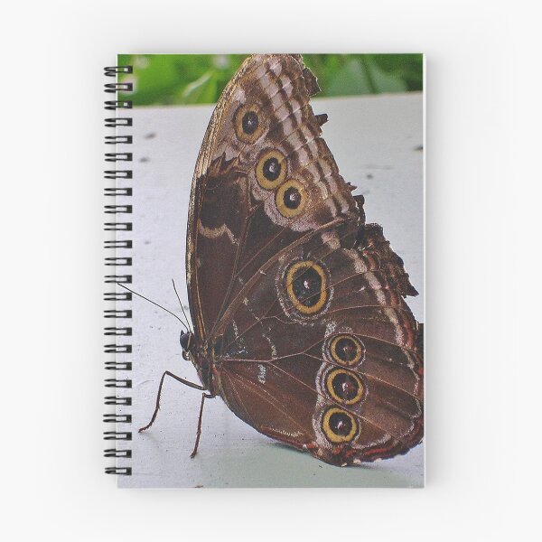 Item preview, Folded Wings designed and sold by lezvee.