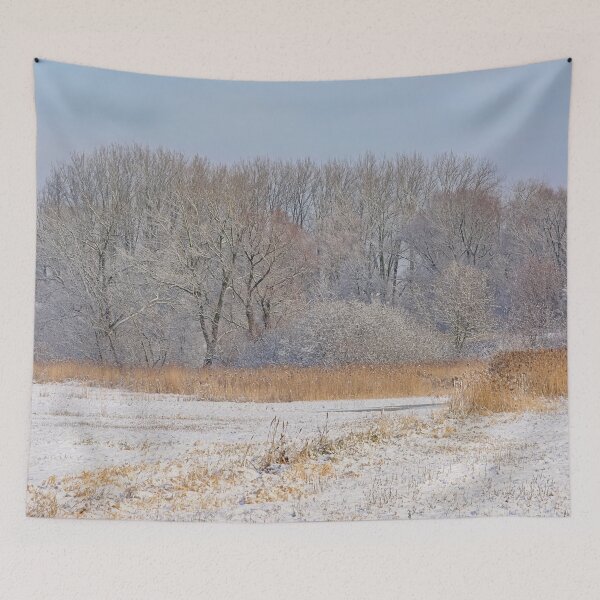 Item preview, Winter marsh landscape and forest covered in snow designed and sold by xophotography.