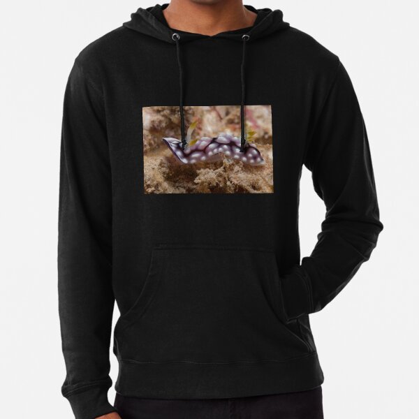 Chromodoris geometrica, Kapalai, Sabah, Malaysia Lightweight Hoodie