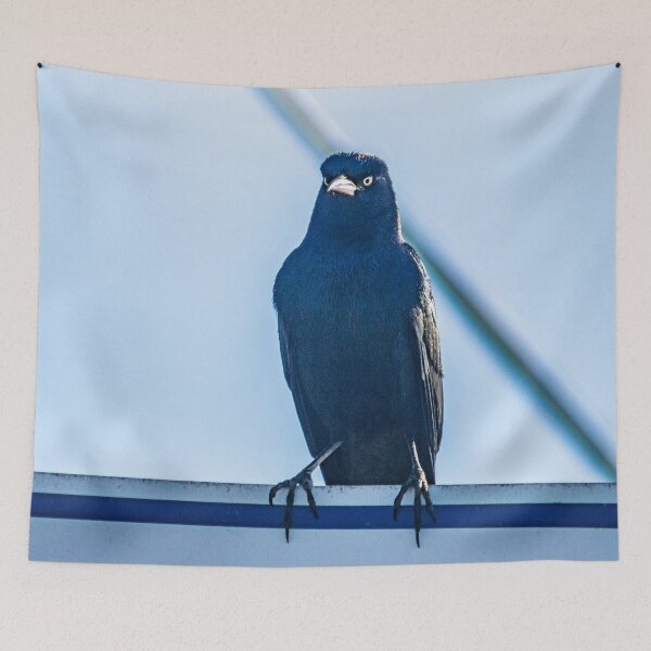 Item preview, Bird in Calabash designed and sold by KensLensDesigns.
