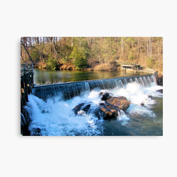Nora Mills Damn Metal Print