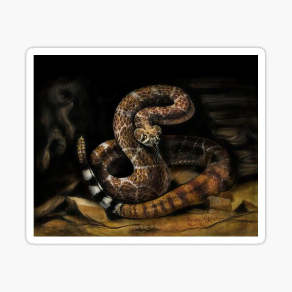 Rattler Sticker