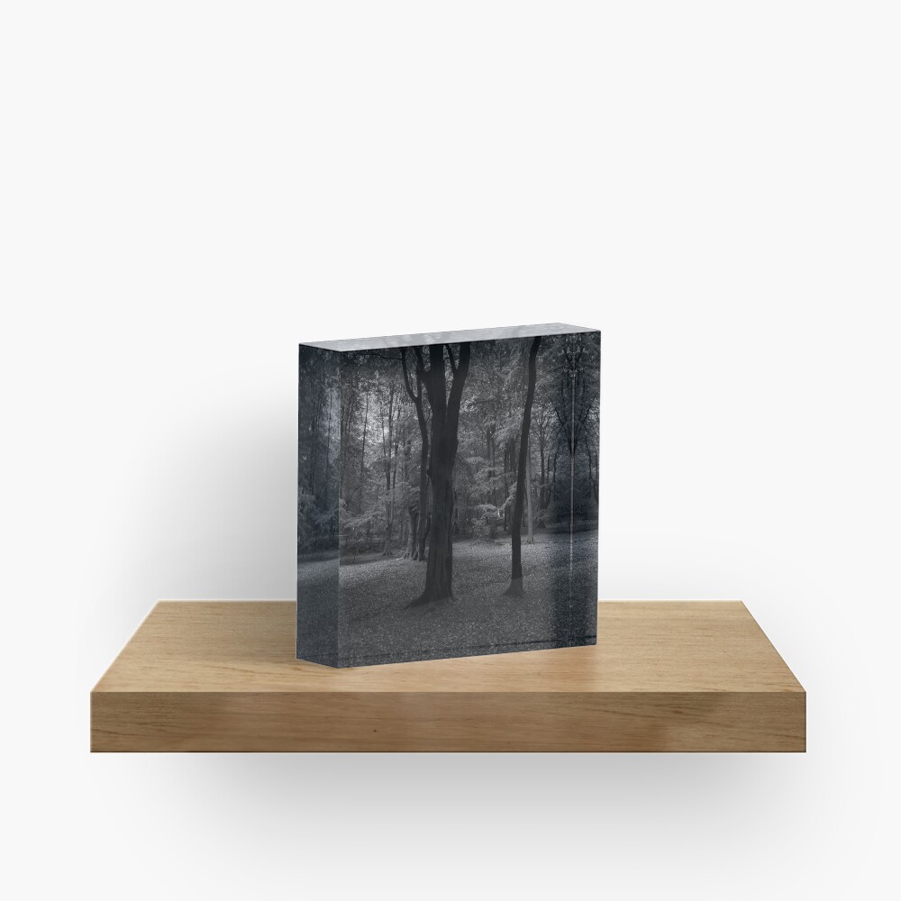 Item preview, Acrylic Block designed and sold by ShinyPhoto.