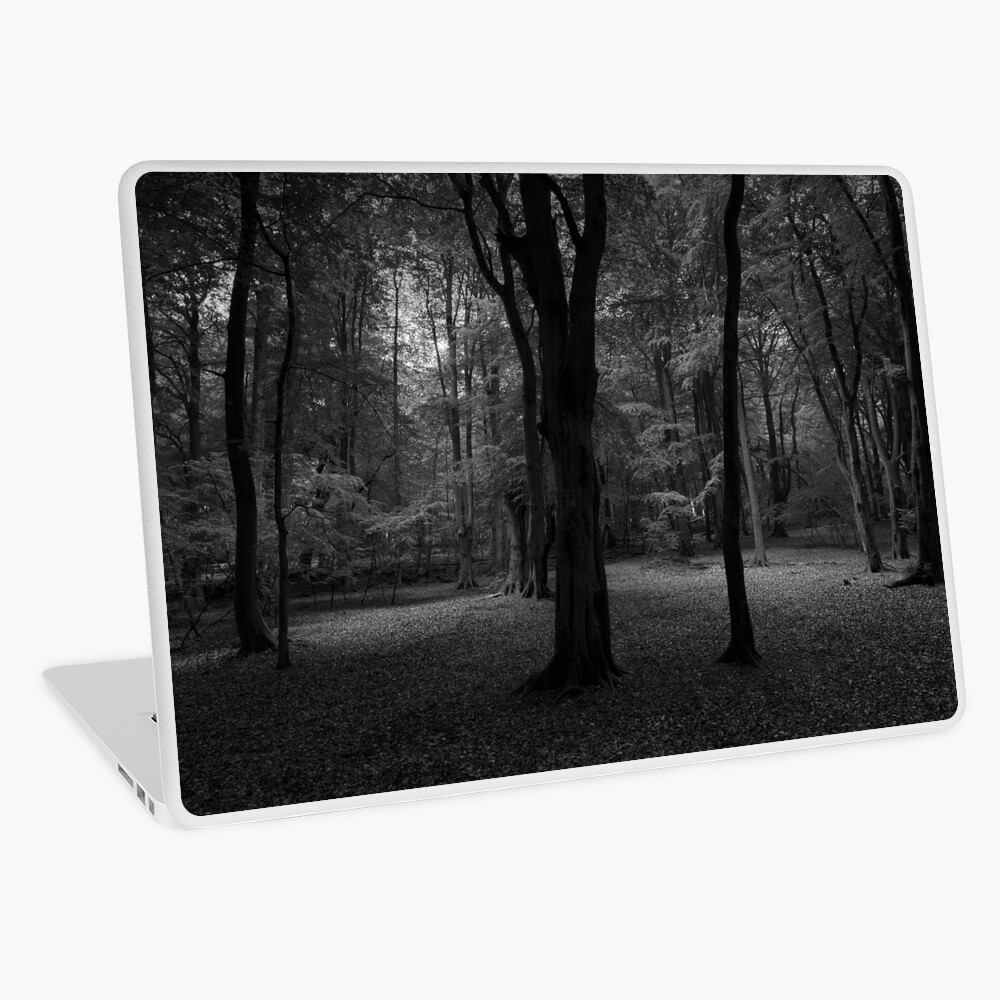 Item preview, Laptop Skin designed and sold by ShinyPhoto.