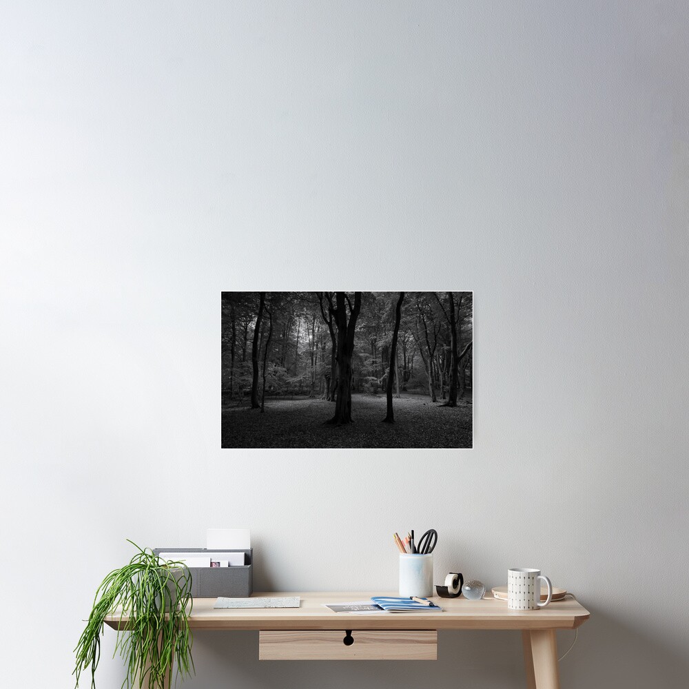 Item preview, Poster designed and sold by ShinyPhoto.