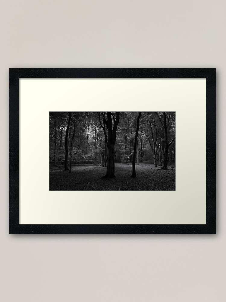 Thumbnail 1 of 7, Framed Art Print, Ethie Woods 2 designed and sold by ShinyPhoto.