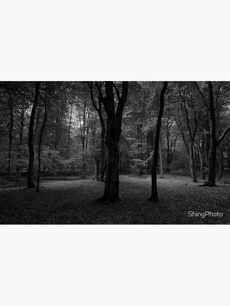 Thumbnail 7 of 7, Framed Art Print, Ethie Woods 2 designed and sold by ShinyPhoto.