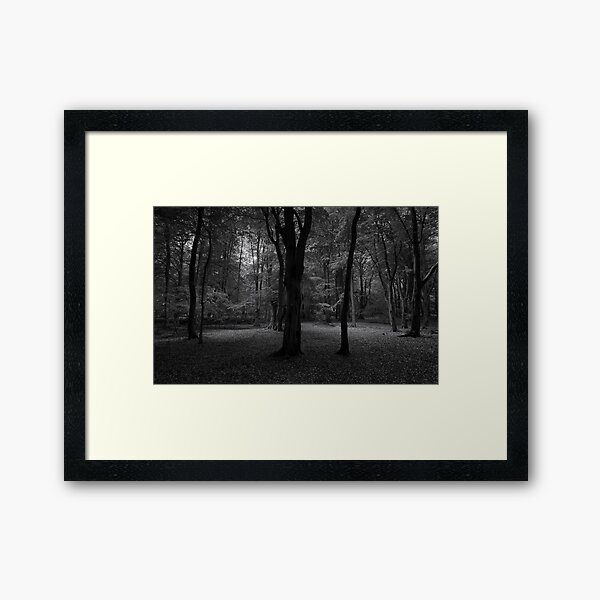 Framed Art Print