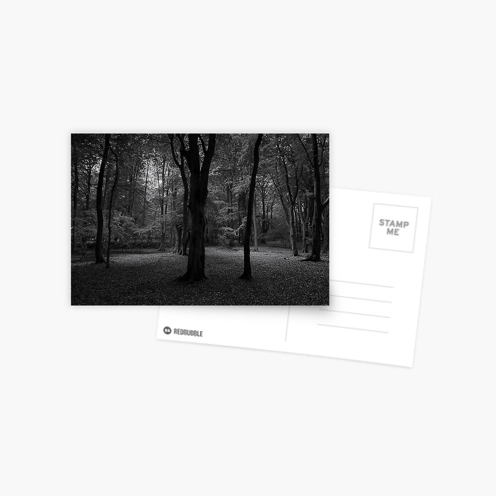 Item preview, Postcard designed and sold by ShinyPhoto.