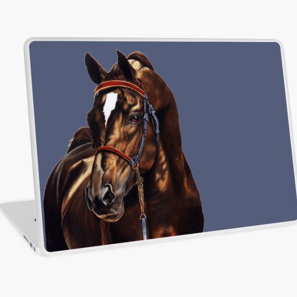 Macbook Air 13" (2015)