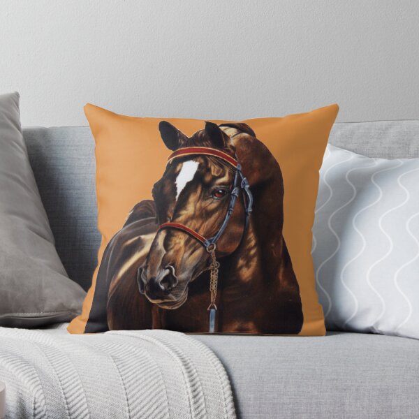Throw Pillow