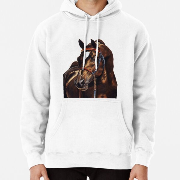 Hoodie (Pullover)