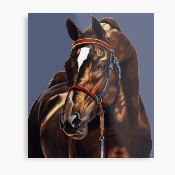 Metal Print