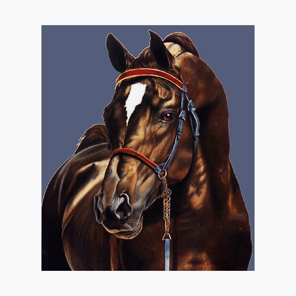 Photographic Print