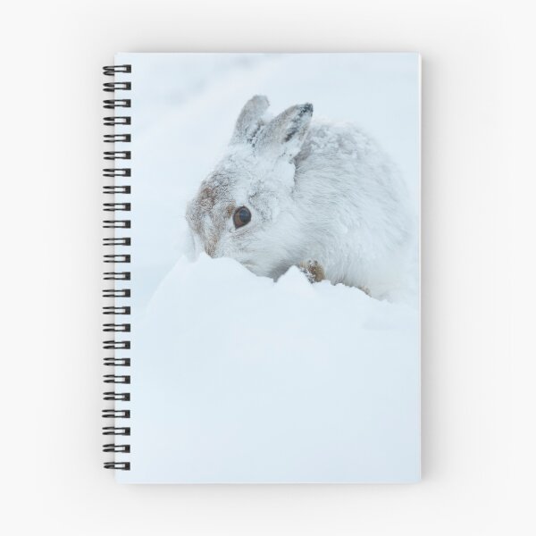 Item preview, wild white hare designed and sold by chanonry.