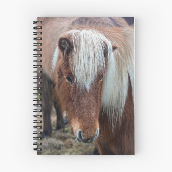 Item preview, Icelandic Horse Vestrahorn Iceland designed and sold by Cameranick.