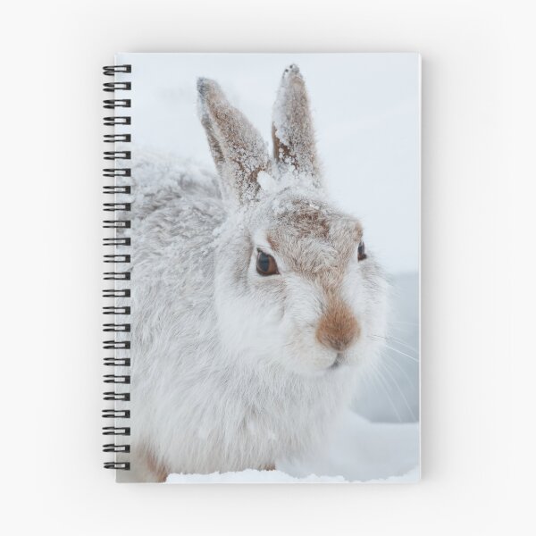 Item preview, wild white hare designed and sold by chanonry.