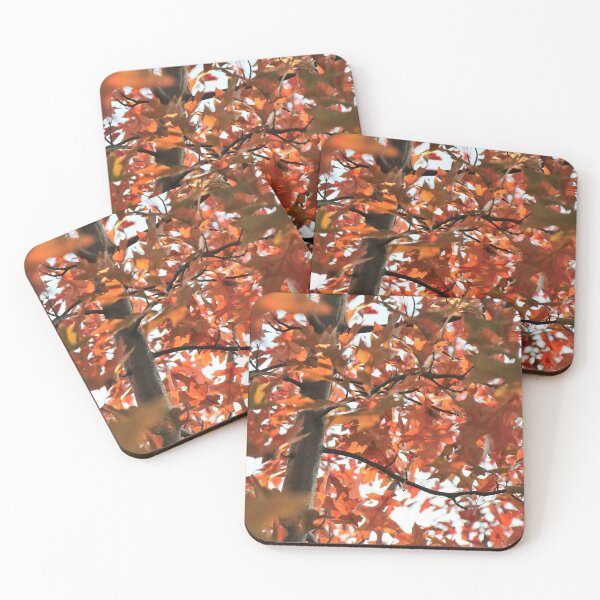 Item preview, October Orange designed and sold by RVogler.