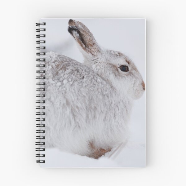 Item preview, wild white hare designed and sold by chanonry.