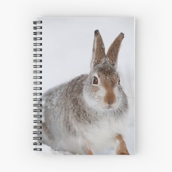 Item preview, wild white hare designed and sold by chanonry.