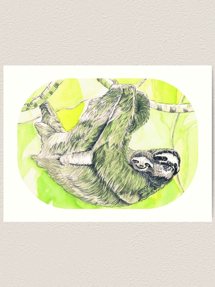 Impression Artistique Chillin Maman Et Bebe Paresseux Par Angipangi7 Redbubble